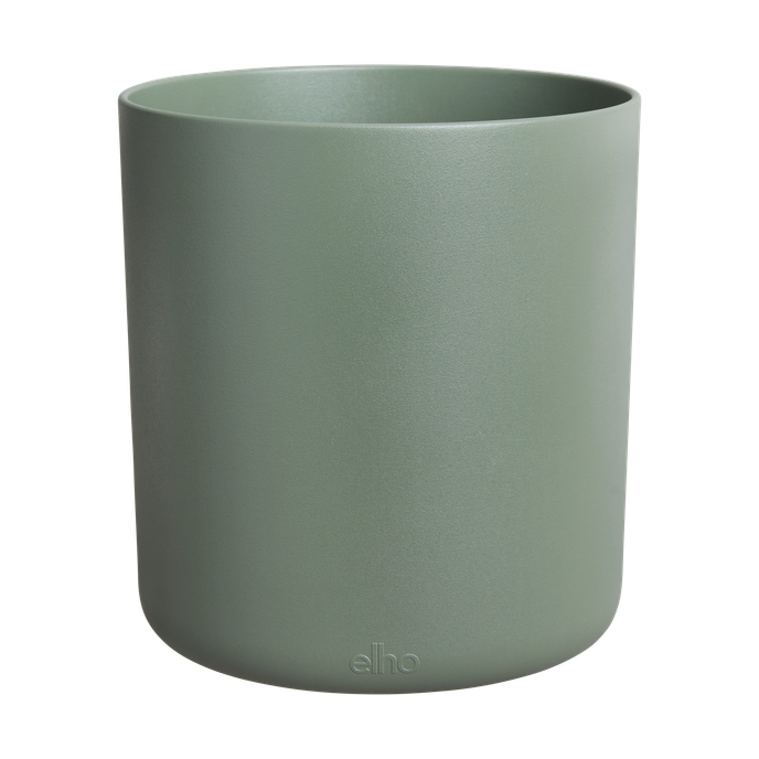 bouncy basil leaf green